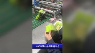 Túi thoát hiểm chống trẻ em: Túi in tùy chỉnh B2B chống mùi tuân thủ bằng sáng chế của Hoa Kỳ