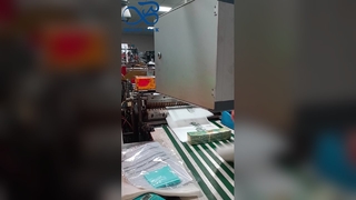 Thiết kế logo tùy chỉnh Túi giấy thủy tinh mờ để đóng gói áo phông và quần áo có tự Adh