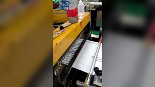 Túi thủy tinh mờ được in tùy chỉnh Logo cá nhân Túi quà tặng có thể tái chế