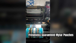 Túi Mylar in Túi đựng thực phẩm kín khí có thể khóa lại