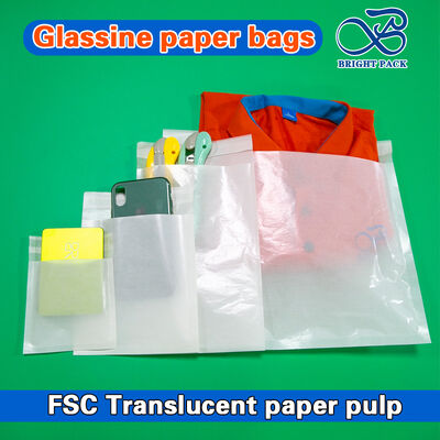 FSC chứng nhận môi trường thân thiện Biodegradable túi giấy thủy tinh cho quần áo, áo thun