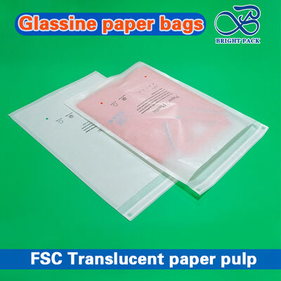 Thân thiện với môi trường Túi giấy thủy tinh mờ có thể tùy chỉnh cho bao bì quần áo cao cấp